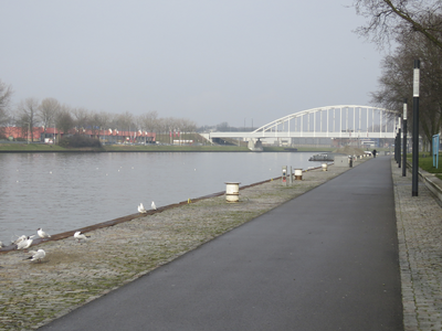 907451 Gezicht over de Rooseveltboulevard te Utrecht, met op de achtergrond de De Meernbrug over het Amsterdam-Rijnkanaal.